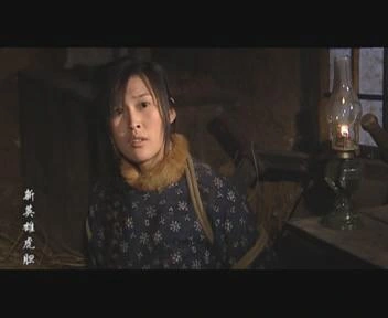 新虎胆英雄传