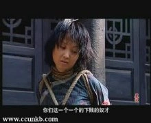 翟佳