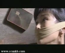 童蕾