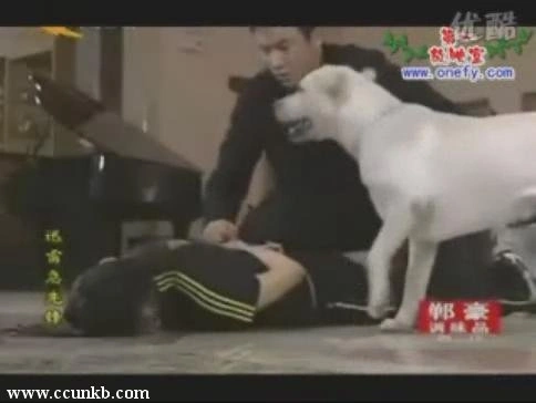 佚名