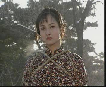 烟花女驼龙