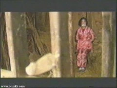 佚名