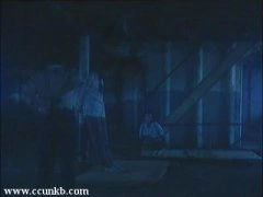 茅海童