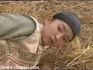 李冰冰