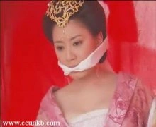 贾静雯*