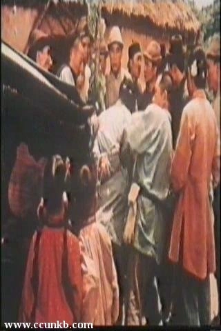 白杨
