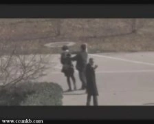 图雅