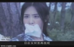 陈西贝