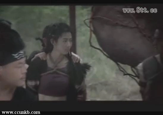 庞潇*
