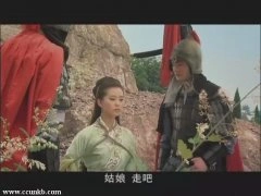 刘诗诗