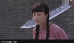 陈数