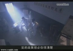 张歆艺
