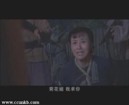 金姝卉