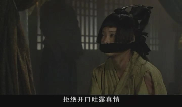 母仪天下