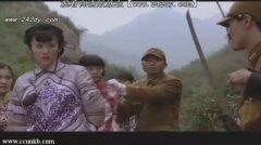 张彤*
