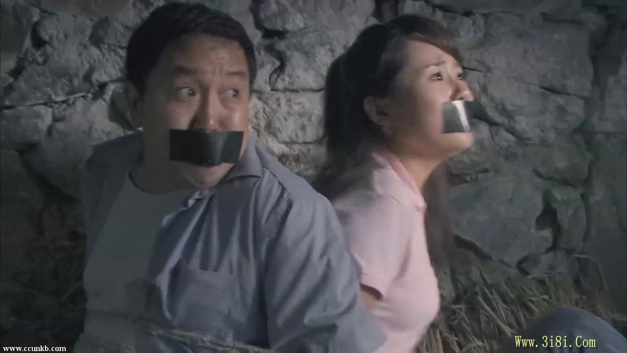 杨紫