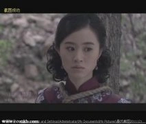 柴菁