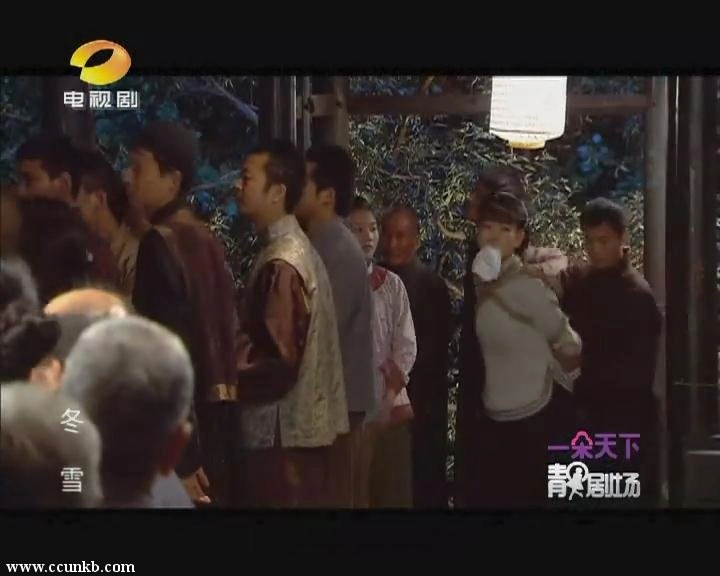 秦海璐