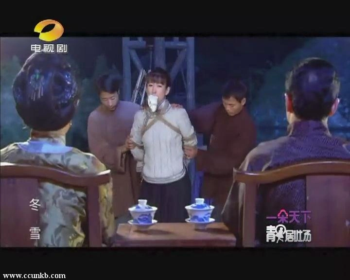 秦海璐