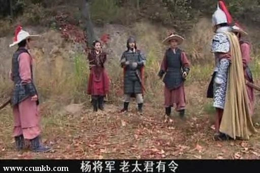 苗圃