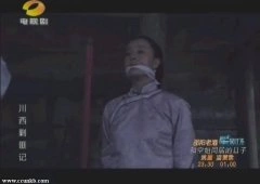 苏岩