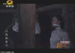 苏岩