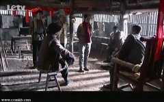倪虹洁