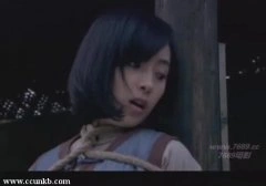 刘晓洁*