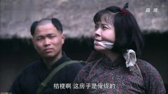 杨若兮