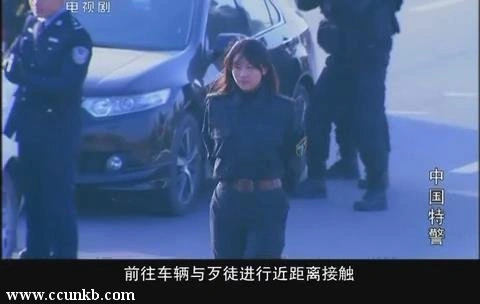 丁甜