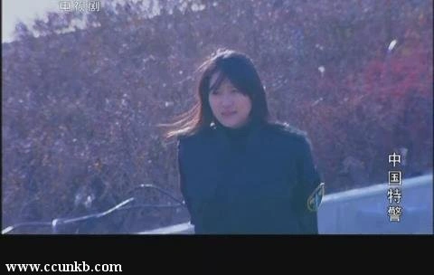 丁甜