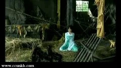 孙菲菲