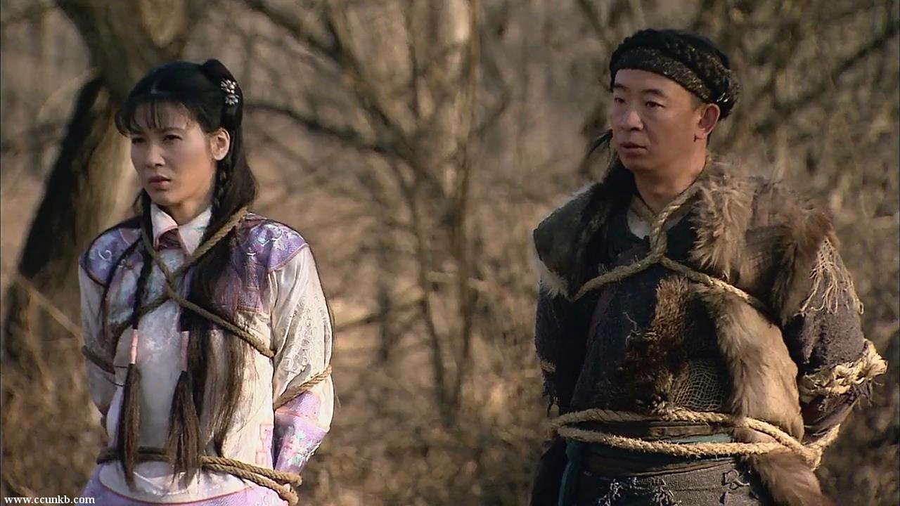 童蕾*