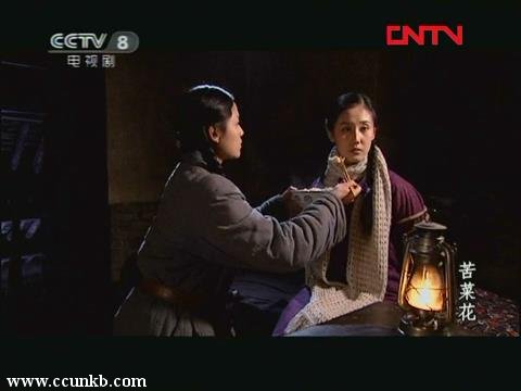 李婷（青岛籍）