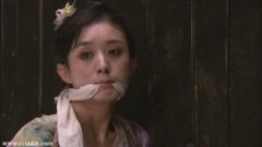赵丽颖