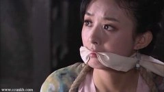 赵丽颖