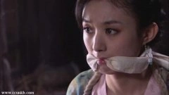 赵丽颖