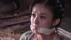 赵丽颖