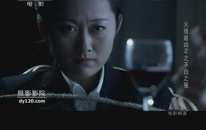 火线追凶2之不白之冤