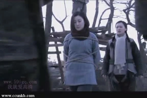 王雅捷