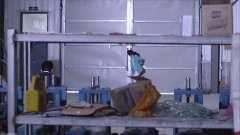 李沁