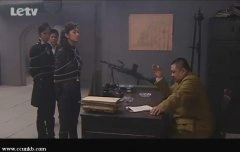 曲栅栅,苑冉