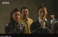 曲栅栅,苑冉