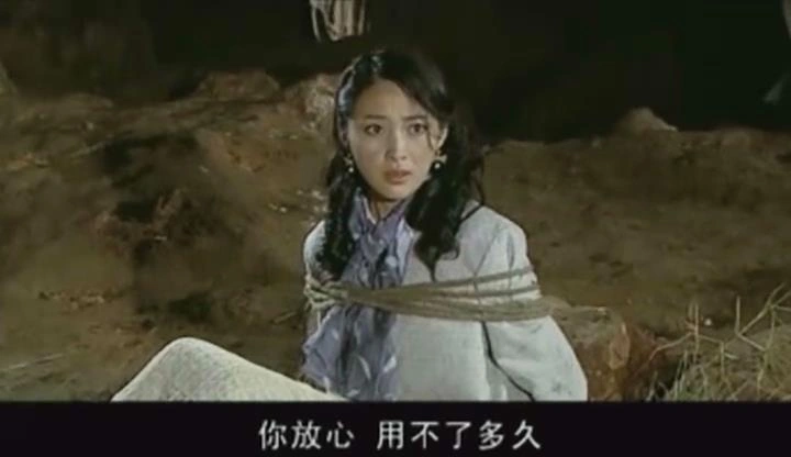 侦探成旭之龙城岁月