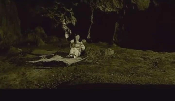 甘婷婷