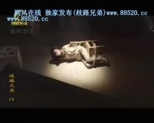 郑萍