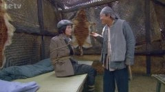 金玫玫