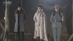 曲栅栅,苑冉,黄小瑜