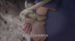 陶洋