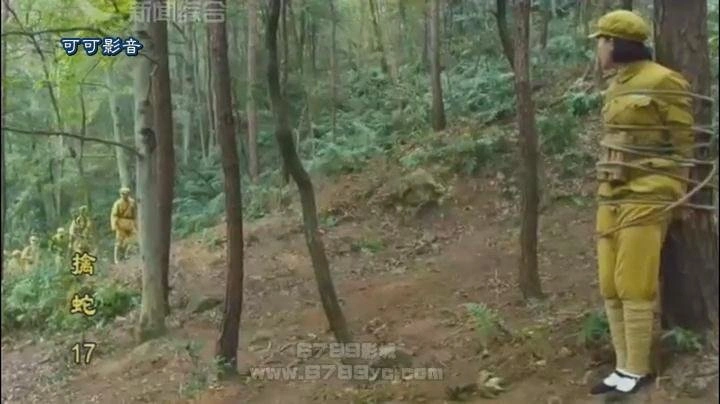 郑亦桐